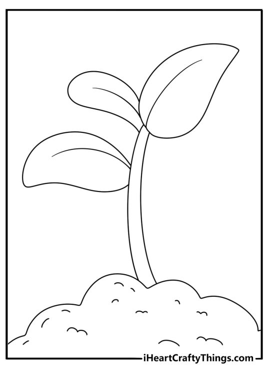 Simple tree coloring page with a sapling growing from soil