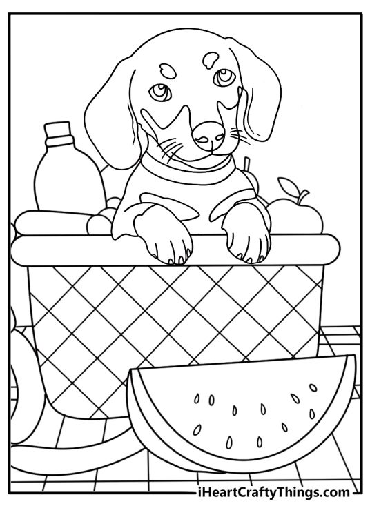 This simple dog coloring page shows a dachshund peeking into a picnic basket