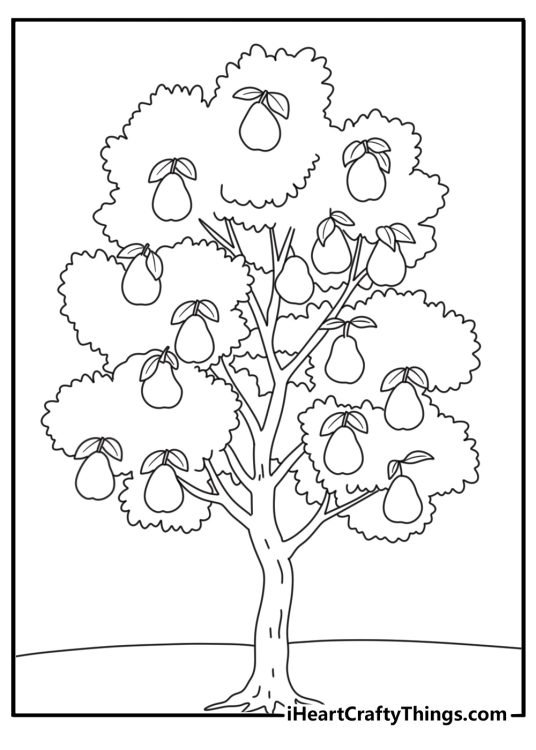 Tree coloring page for kids with a pear tree in an orchard