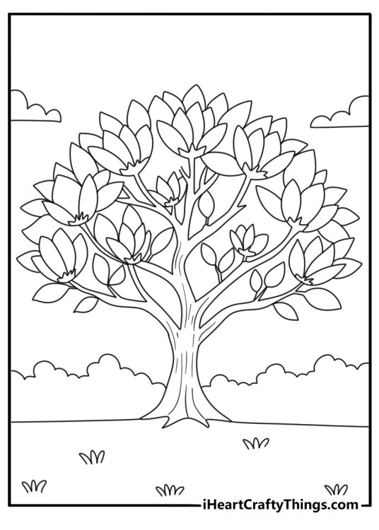 Tree coloring printable with a magnolia tree covered in large flowers