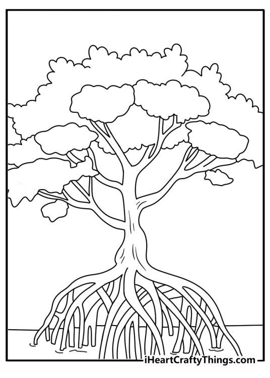 Tree coloring sheet with a mangrove tree growing in shallow water