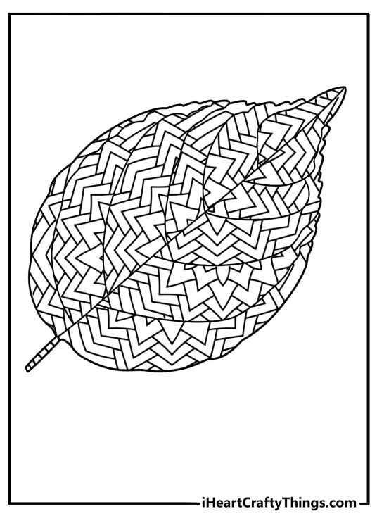 Wildflower meadow mandala with leaf veins nature coloring page for adults