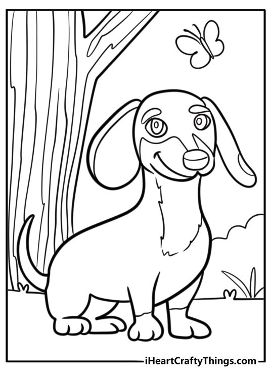 Cartoon dachshund with a big smile coloring page