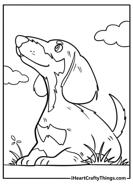 Cute dachshund looking up coloring sheet