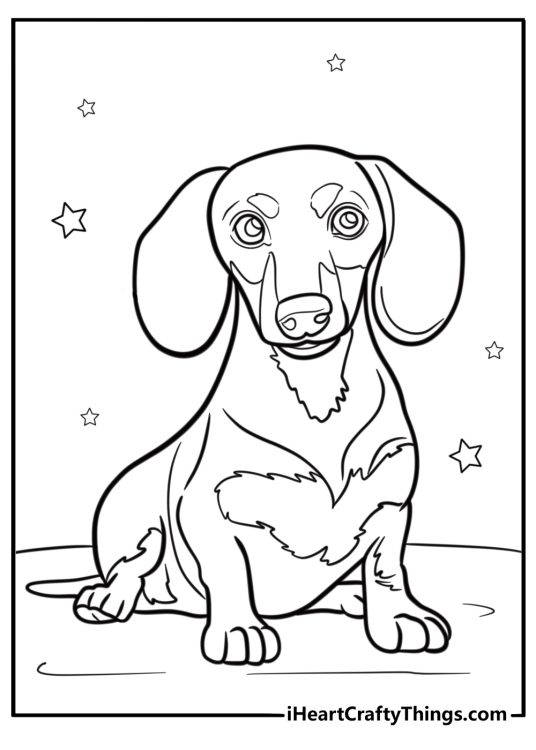 Cute dachshund puppy sitting coloring page