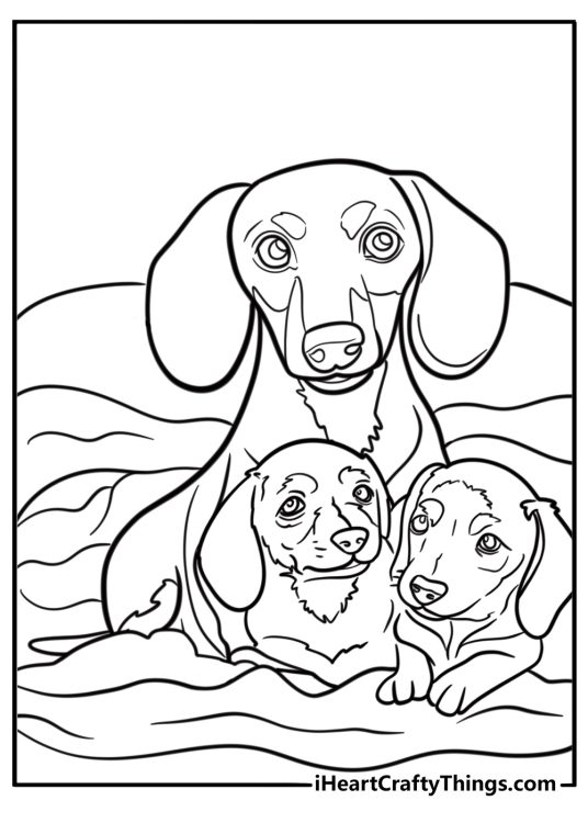 Dachshund cuddling with a puppy free coloring page