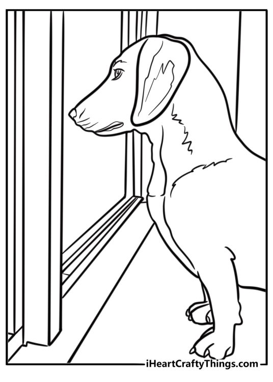 Dachshund looking out of a window coloring page