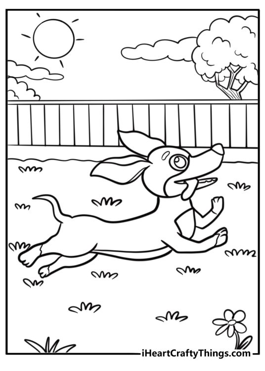 Dachshund running in the park coloring sheet