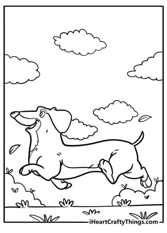 Dachshund running through the grass coloring sheet
