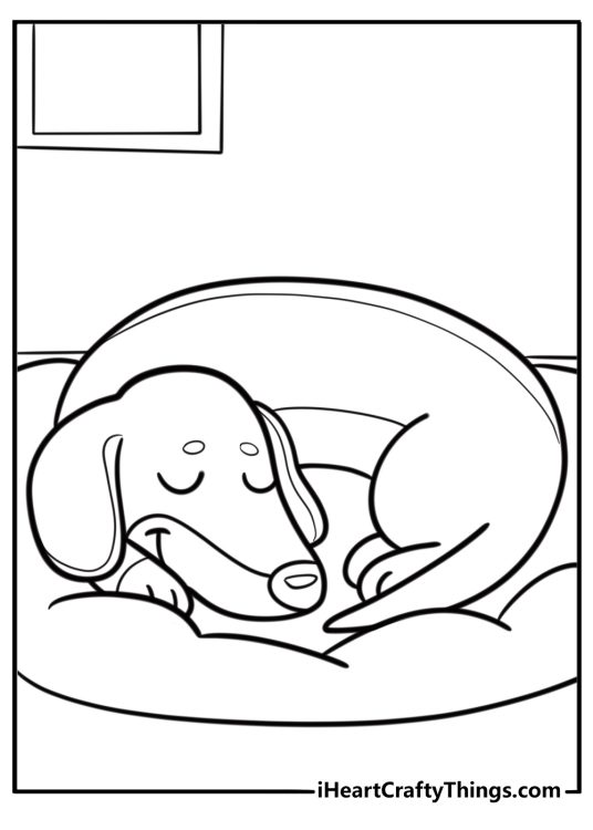 Dachshund sleeping on a cushion coloring sheet