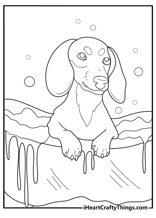 dachshund taking a bath in a tub printable coloring page