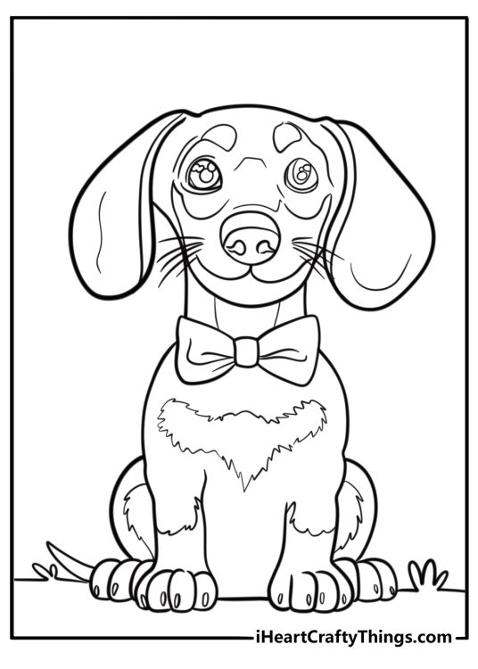 Dachshund with a bow tie printable coloring sheet