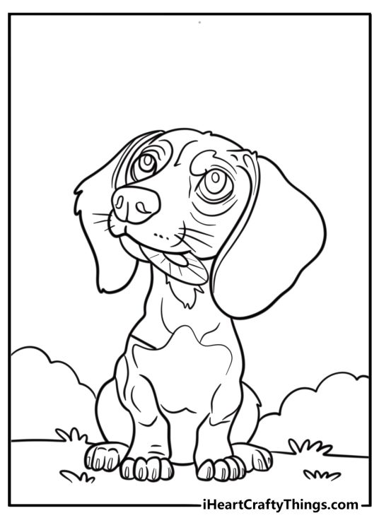 Dachshund with a chew toy printable coloring page