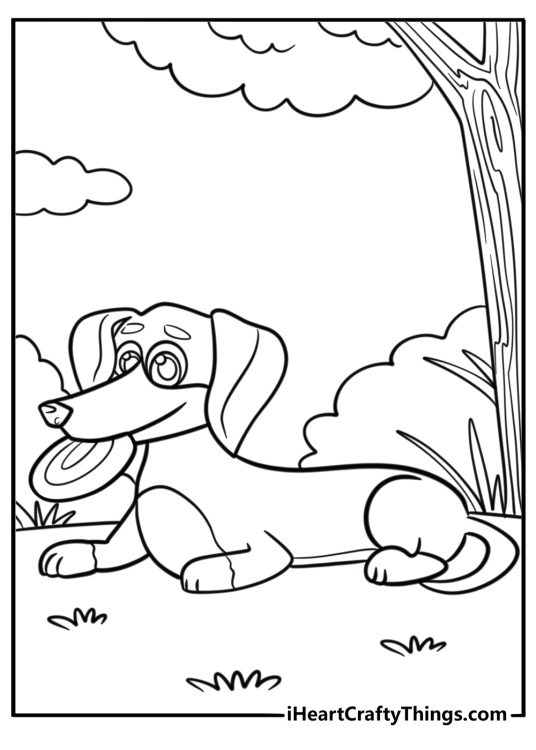 Dachshund with a frisbee in its mouth coloring sheet