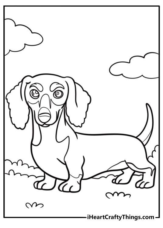 Dachshund with floppy ears coloring sheet for kids