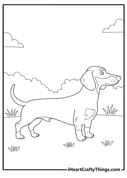 detailed dachshund portrait side view coloring sheet for adults