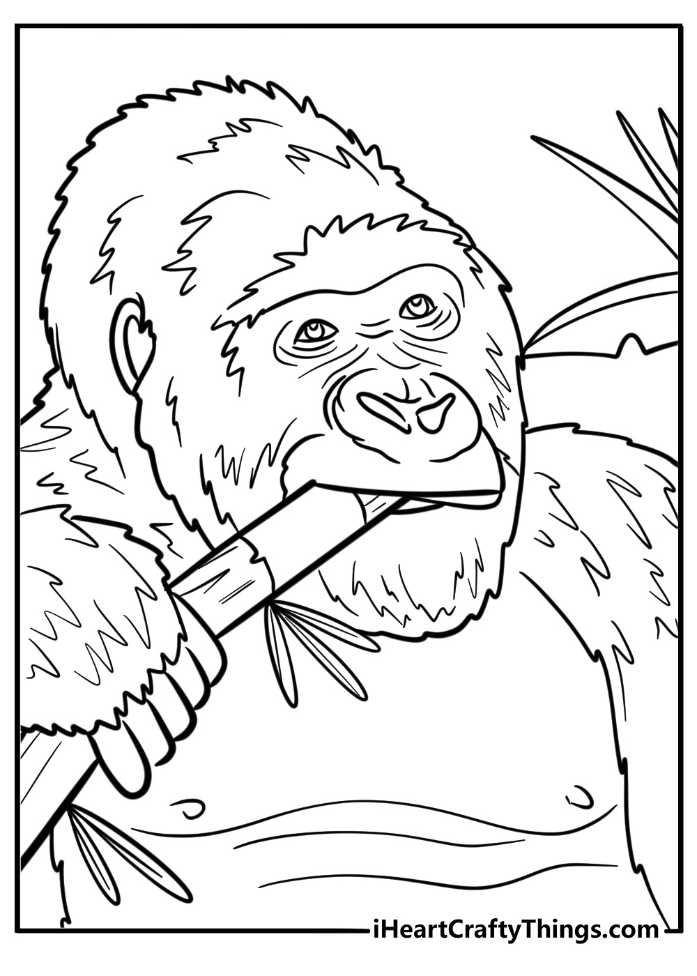 Gorilla munching on bamboo free coloring page pdf