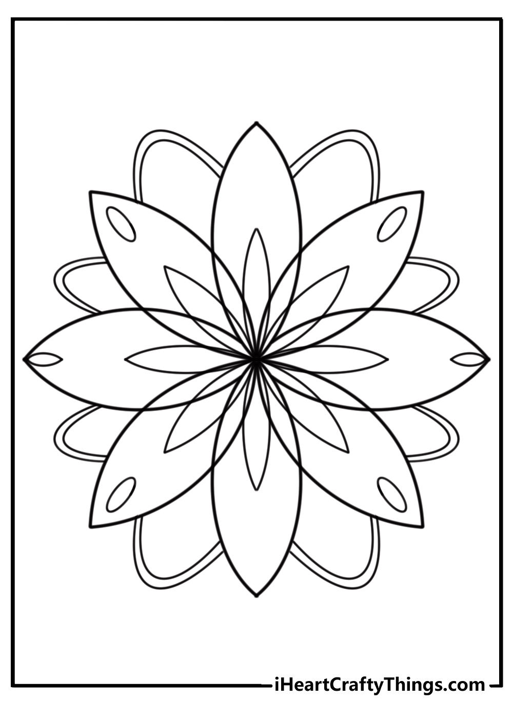 Mandala with blooming flowers and geometric shapes