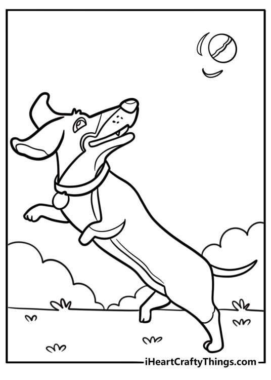 Playful dachshund chasing a ball printable coloring page