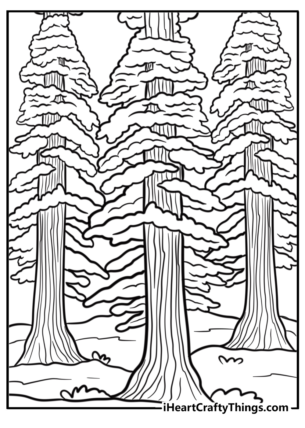 Tall redwood tree in a forest coloring page for kids