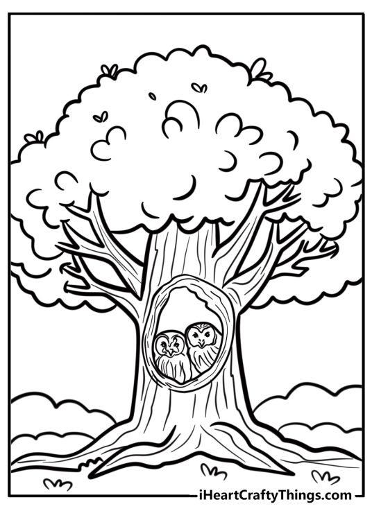 Tree with a hollow trunk where an owl lives fun coloring sheet