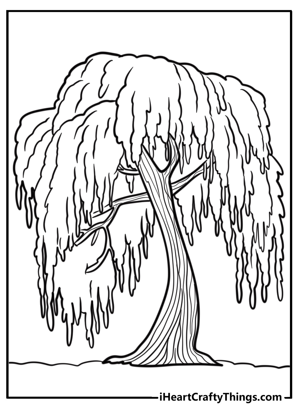 Willow tree with drooping branches free coloring page