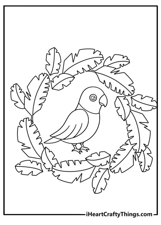 Animal mandala coloring sheet with a parrot and feather circles