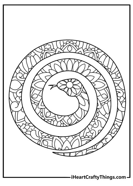Detailed animal mandala coloring page with a snake curled in a round pattern