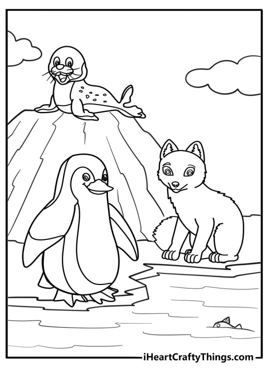 Arctic Animals Coloring Pages