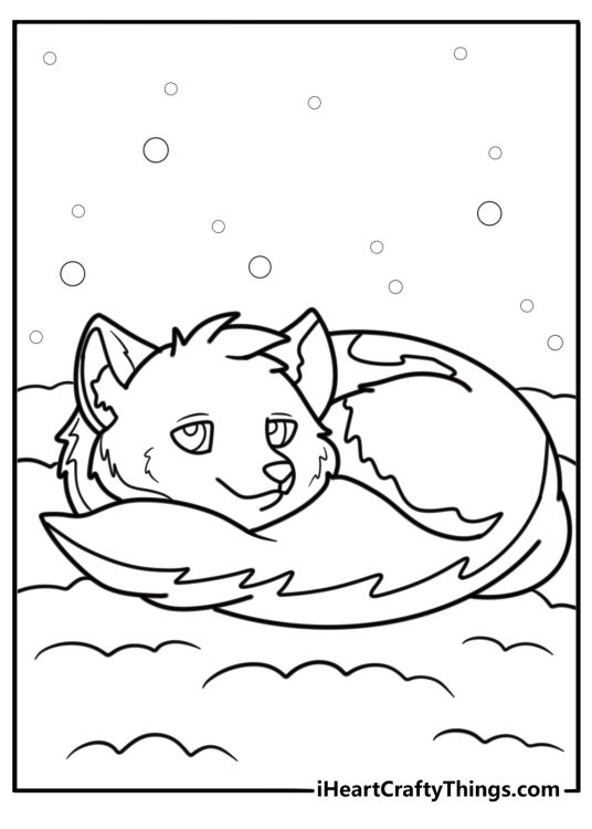 Arctic fox curled up in the snow printable coloring page