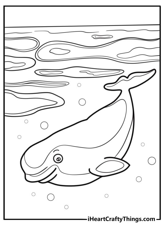 Beluga whale swimming under icy water detailed coloring sheet