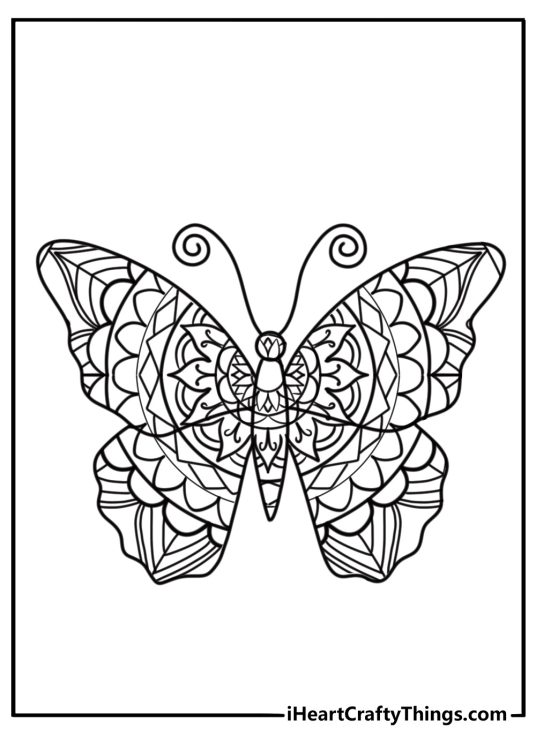 Butterfly mandala with delicate wing patterns coloring page