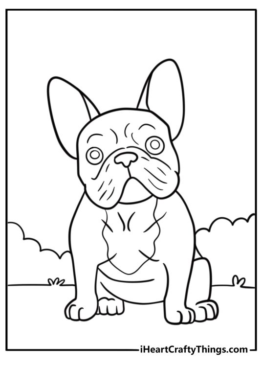 French Bulldog Coloring Pages