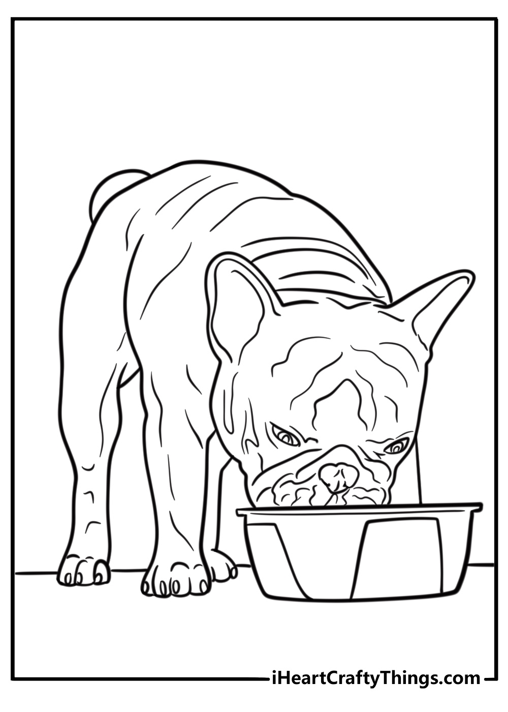 French bulldog eating from a food bowl free coloring page pdf