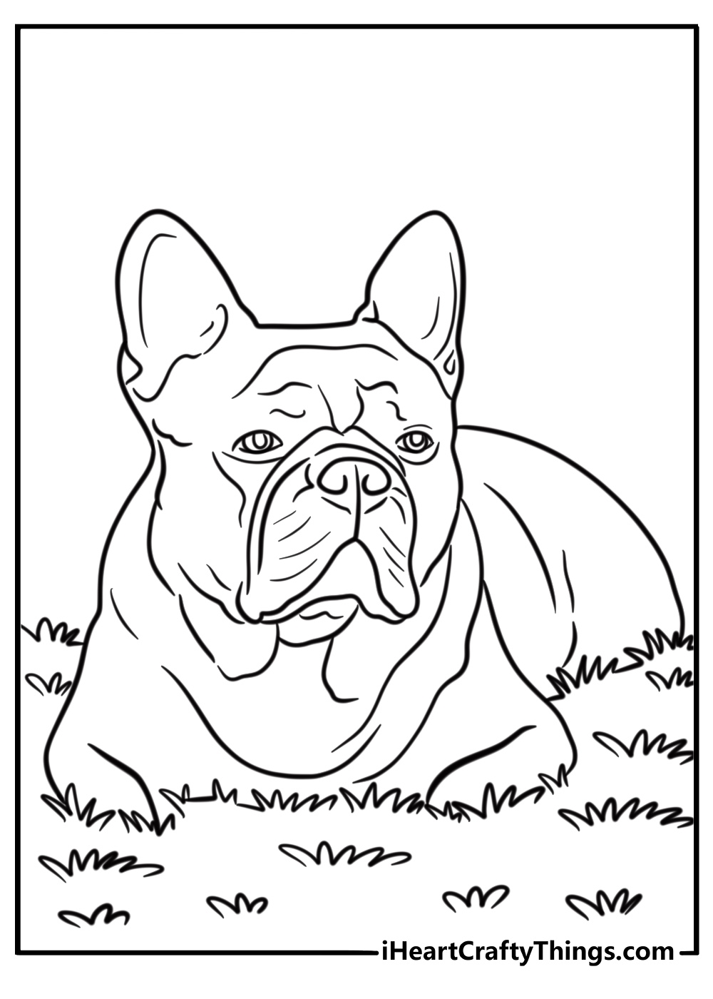 French bulldog lying on the grass relaxed coloring page