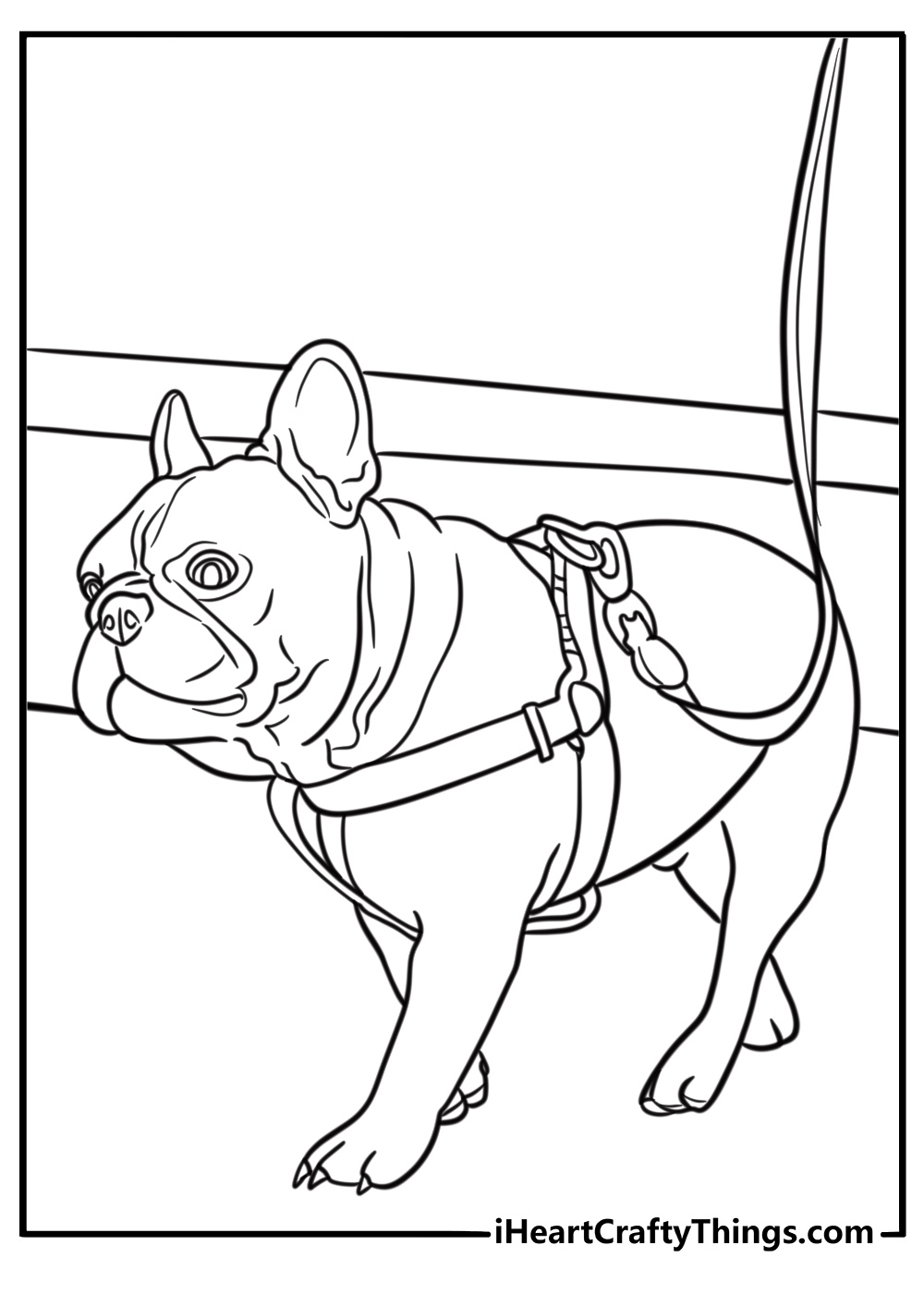 French bulldog with a leash ready for a walk printable coloring page