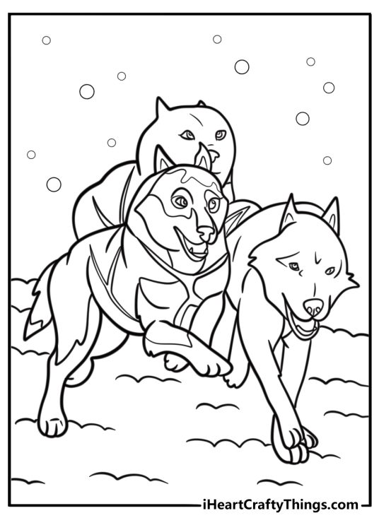 Husky sled team running across the frozen tundra detailed coloring sheet