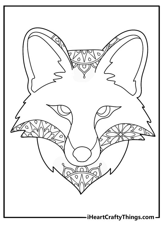mandala fox head design intricate coloring page for adults