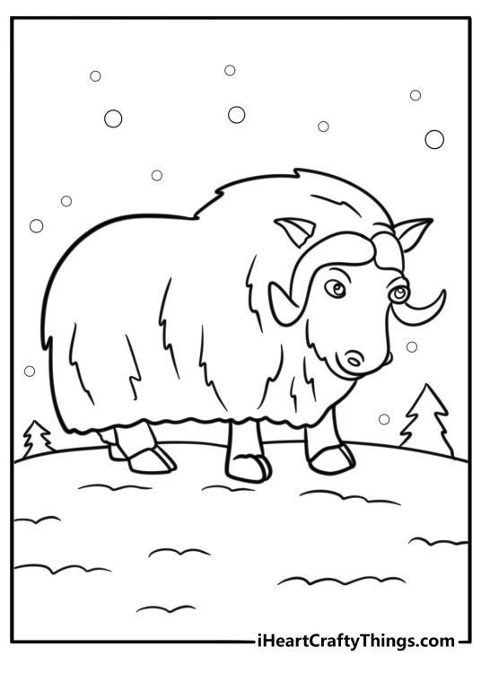 Musk ox standing in the tundra detailed coloring sheet