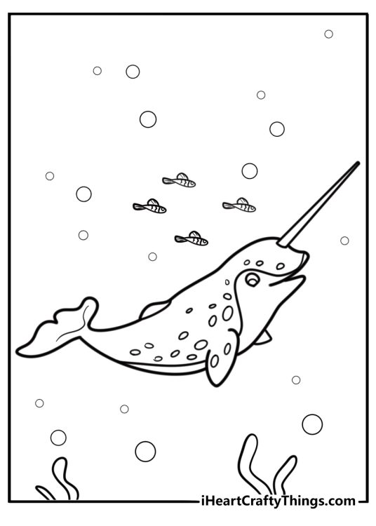 Narwhal with a long tusk swimming in arctic waters fun coloring sheet