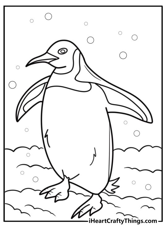 Penguin waddling on snow free coloring page pdf