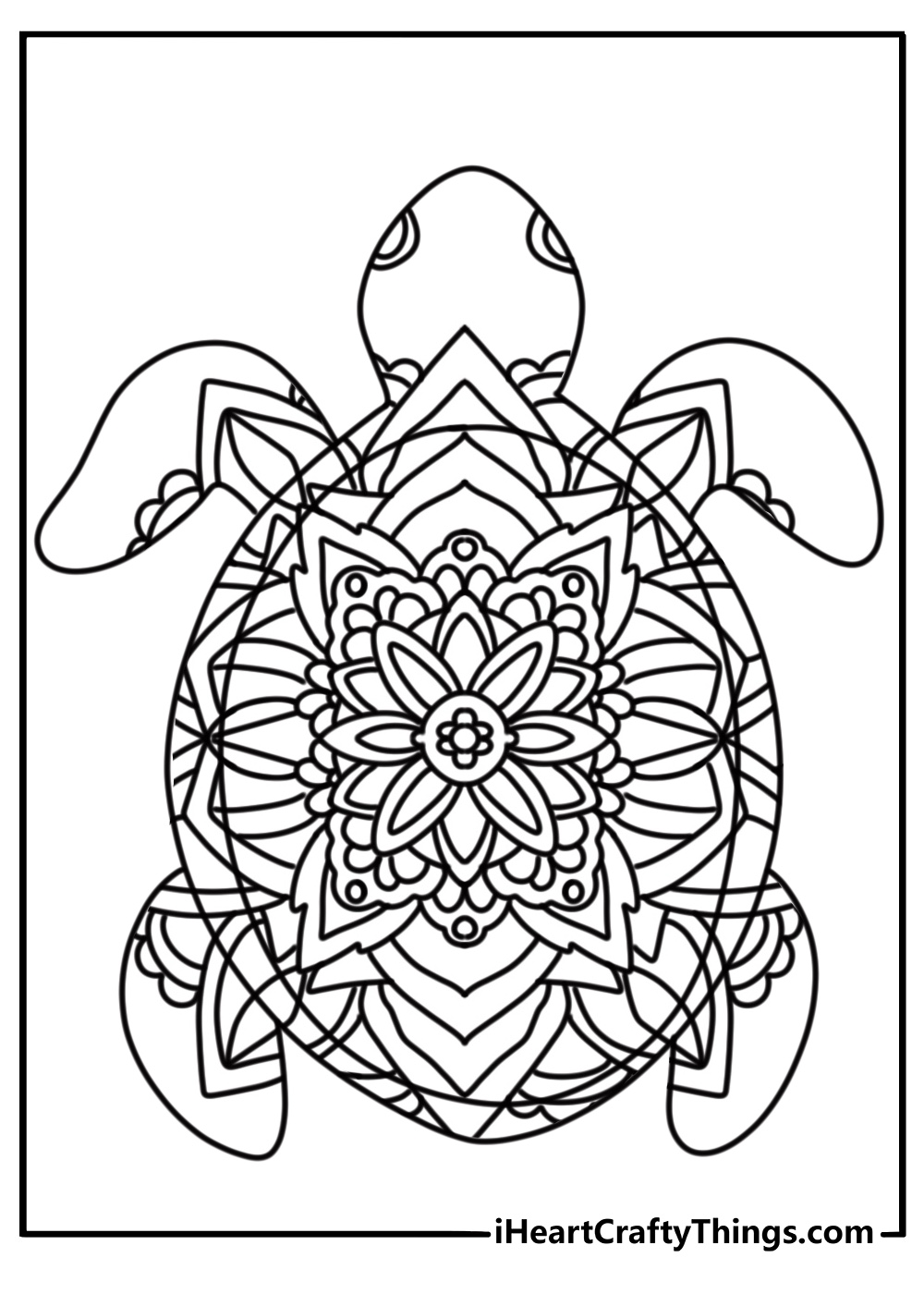 Turtle mandala with floral details detailed coloring sheet