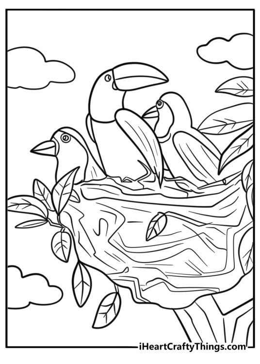 Baby toucan sitting in a nest printable coloring sheet