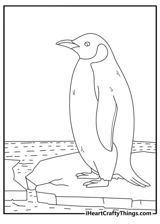 Emperor penguin standing beside cracked ice easy coloring sheet for kids