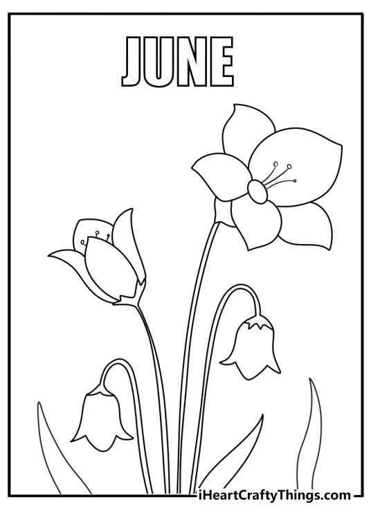 June garden flowers blooming coloring sheet