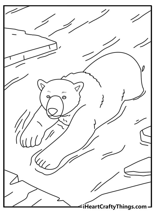 Polar bear swimming between ice floes detailed arctic animals coloring page