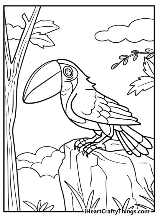 Realistic toucan standing on a rock printable coloring sheet