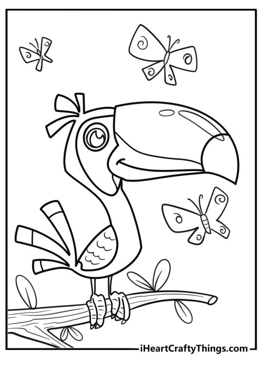 Toucan and a butterfly flying together printable coloring sheet