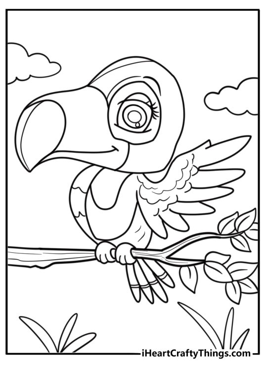 Toucan balancing on a thin branch detailed coloring sheet