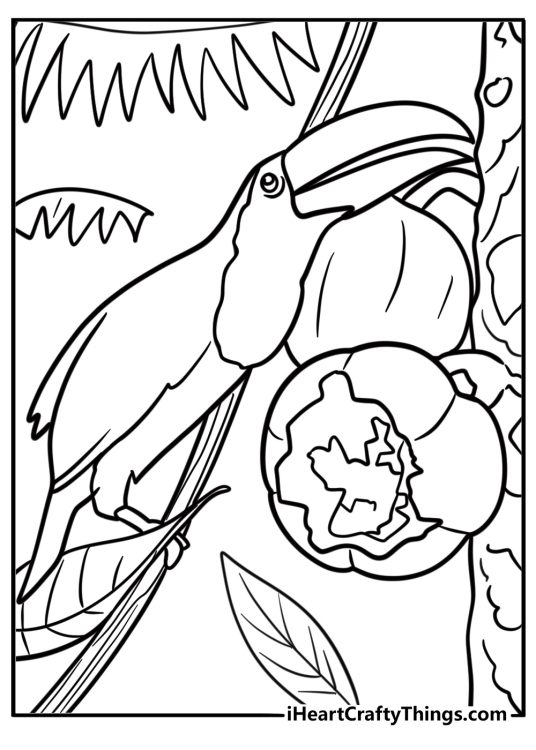 Toucan eating a fruit from a tree coloring page